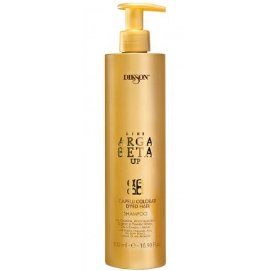 DIKSON ARGABETA UP COLOR Shampoo - Шампунь для окрашенных волос с кератином 1000мл