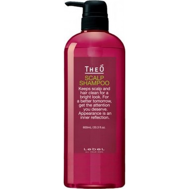 Lebel TheO Scalp Shampoo - Шампунь от выпадения волос для мужчин 600мл