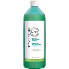 MATRIX BIOLAGE R.A.W. SCALP CARE Antidandruff Shampoo - Шампунь против перхоти с экстрактом розмарина и коры ивы 1000мл
