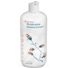 TEOTEMA Rebuilding Shampoo - Шампунь восстанавливающий 1000мл