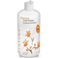 TEOTEMA Sebum Specific Purifying Shampoo - Шампунь против жирности волос 250мл